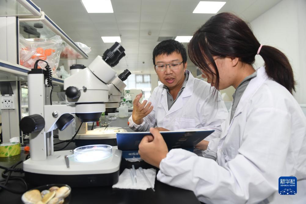 申博非礼宾官网